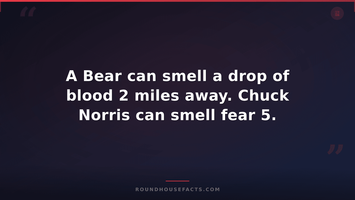 Chuck Norris Fact — A Bear can smell a drop of blood 2 miles away. Chuck Norris