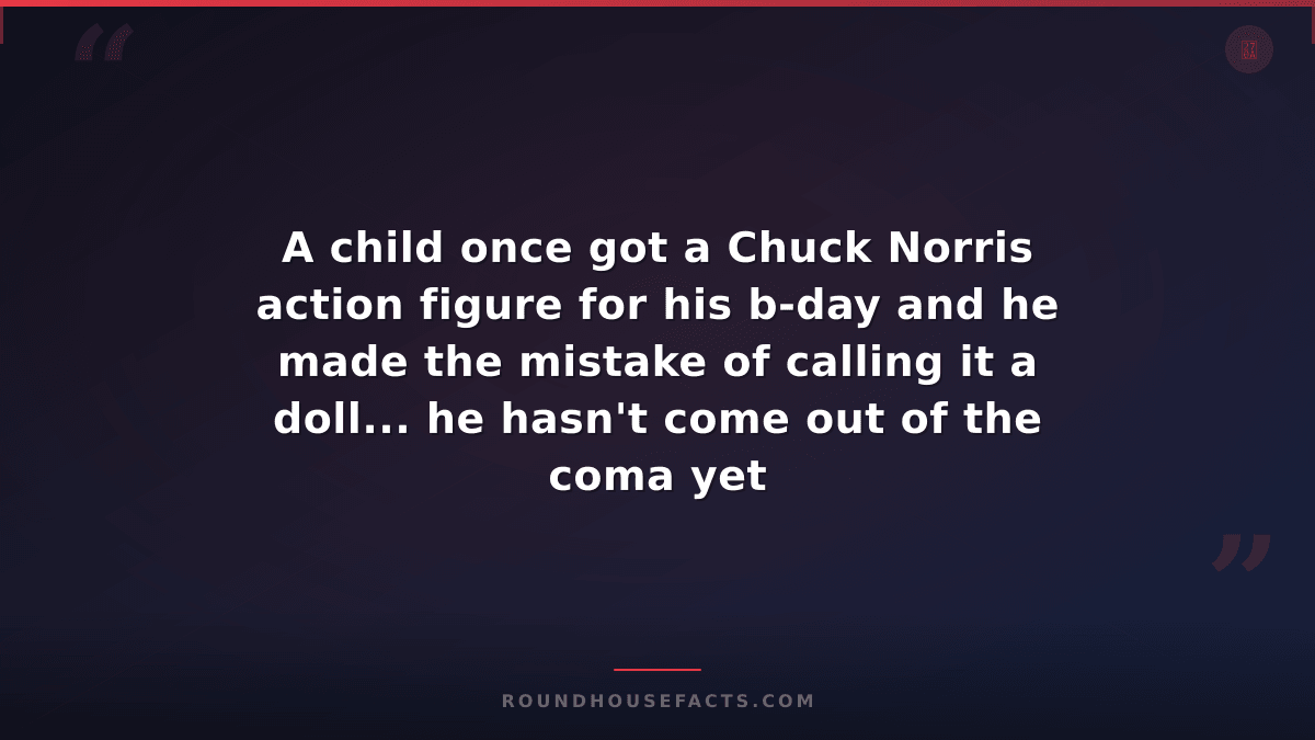 Chuck Norris Fact — A child once got a Chuck Norris action figure for his b-day