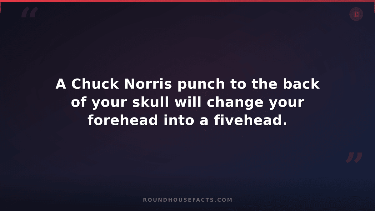 Chuck Norris Fact — A Chuck Norris punch to the back of your skull will change y