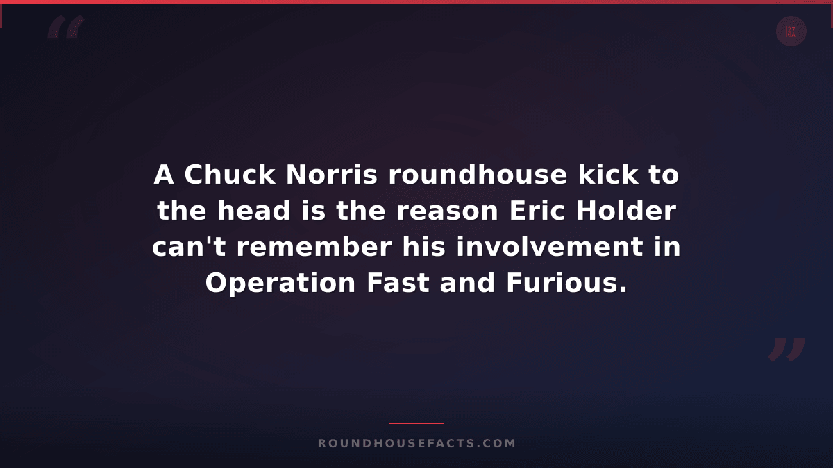 Chuck Norris Fact — A Chuck Norris roundhouse kick to the head is the reason Eri