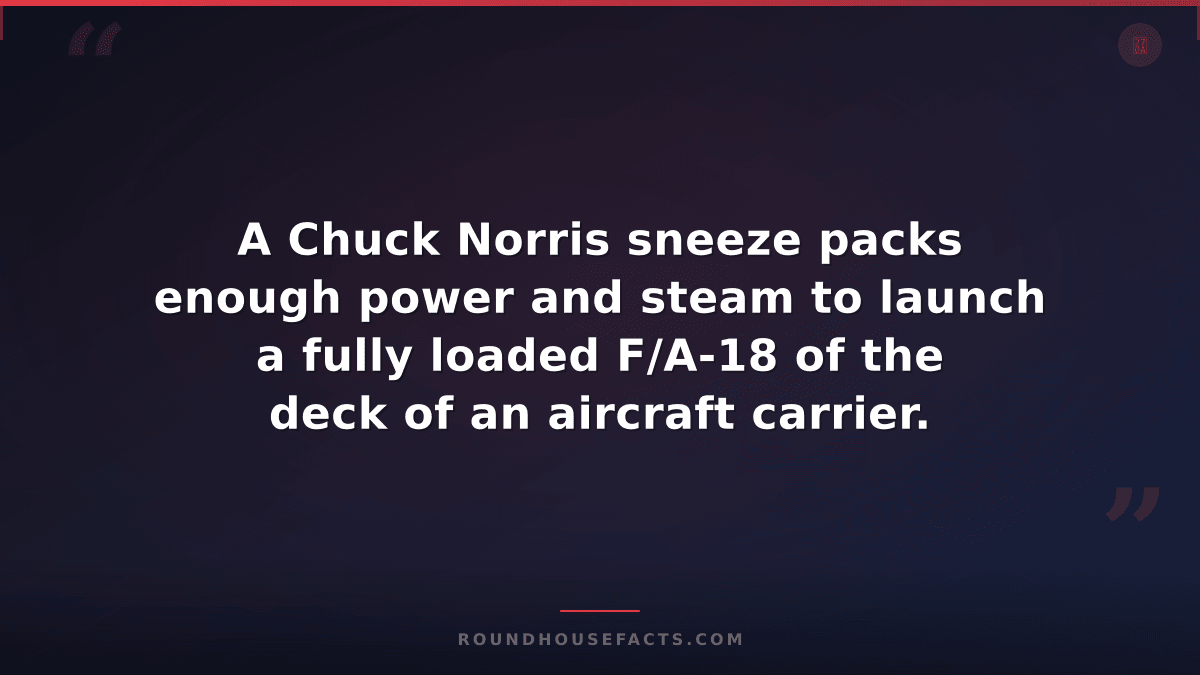 Chuck Norris Fact — A Chuck Norris sneeze packs enough power and steam to launch