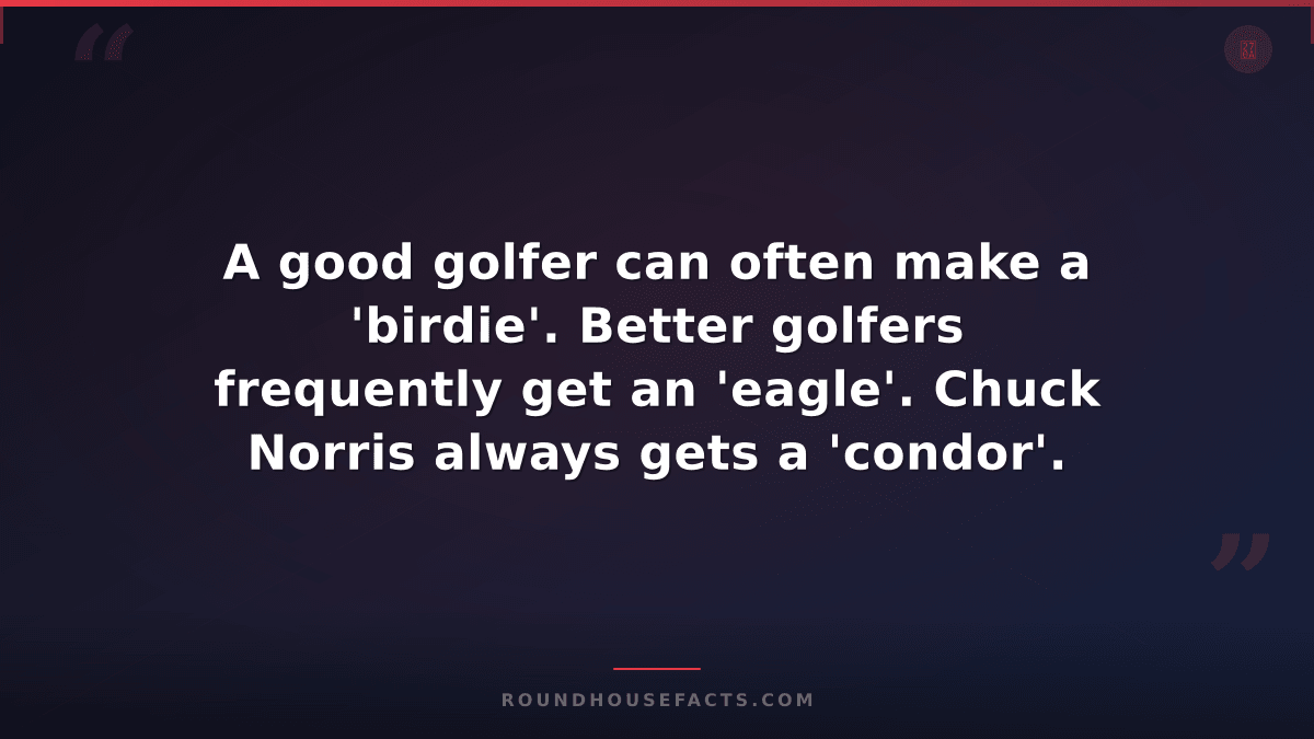 Chuck Norris Fact — A good golfer can often make a 'birdie'. Better golfers freq