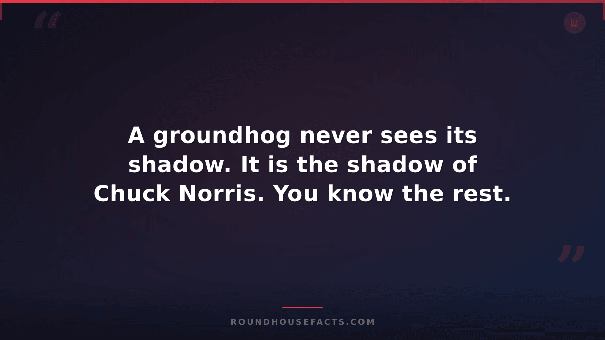 Chuck Norris Fact — A groundhog never sees its shadow. It is the shadow of Chuck