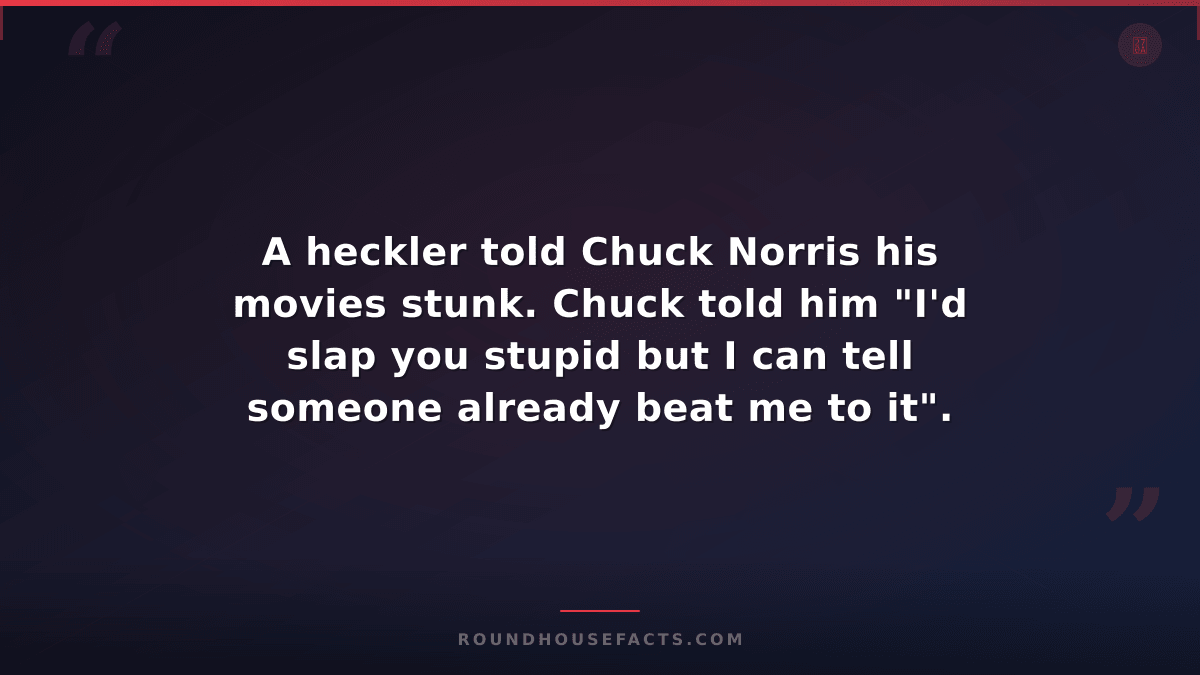 Chuck Norris Fact — A heckler told Chuck Norris his movies stunk. Chuck told him