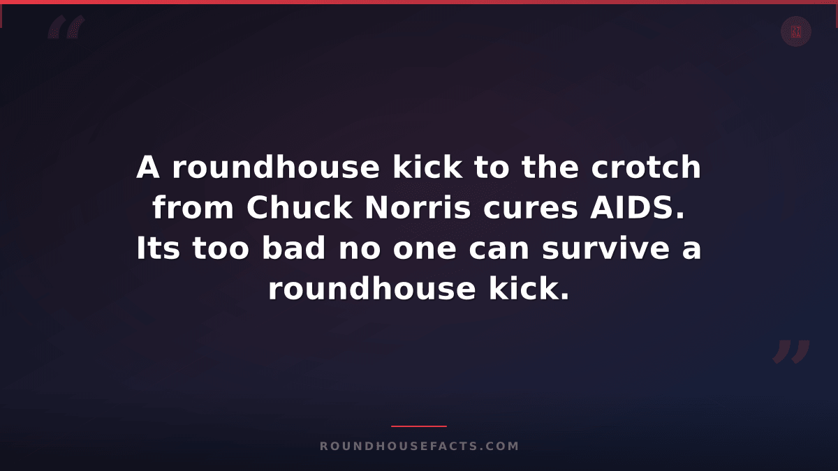 Chuck Norris Fact — A roundhouse kick to the crotch from Chuck Norris cures AIDS
