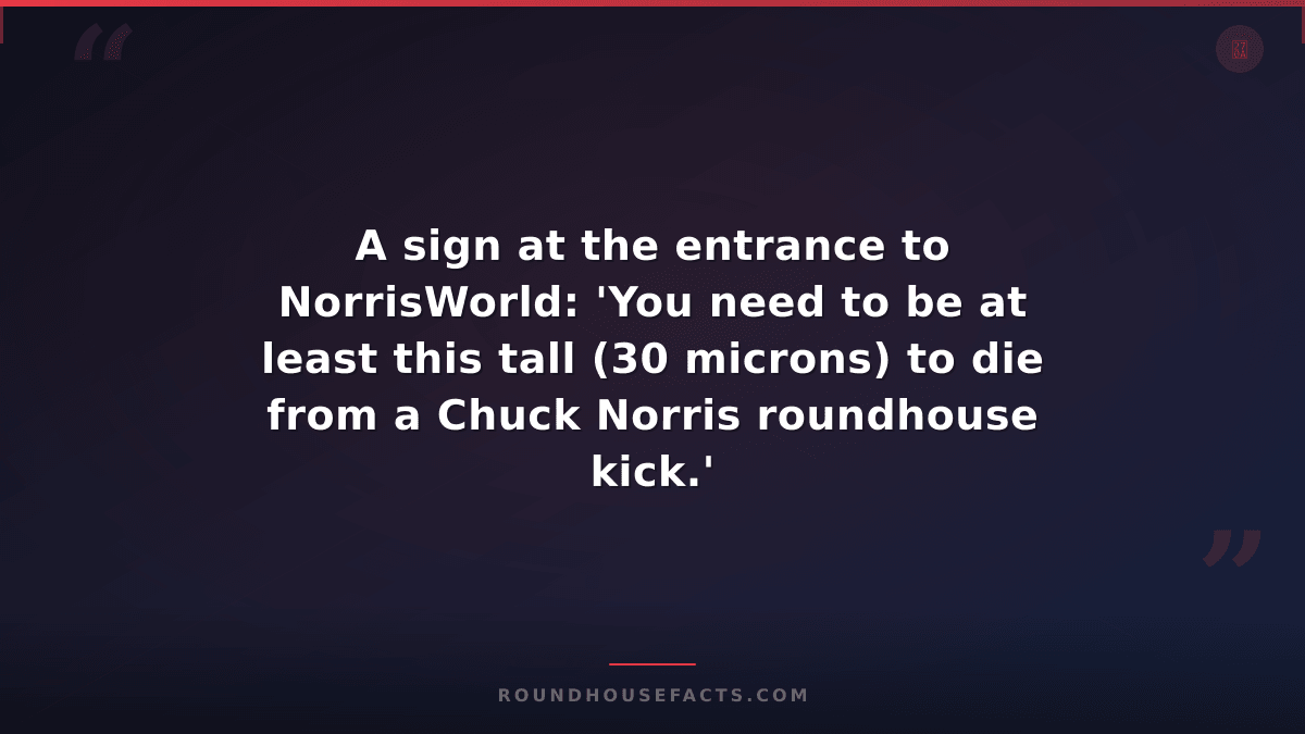 Chuck Norris Fact — A sign at the entrance to NorrisWorld: 'You need to be at le