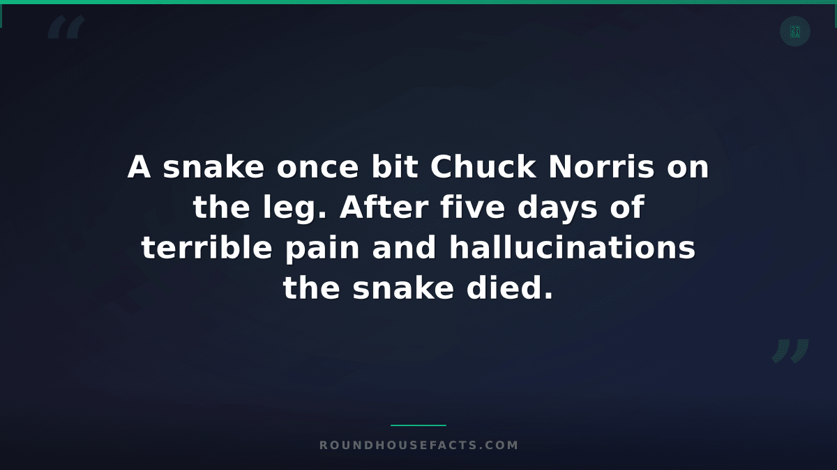 Chuck Norris Fact — A snake once bit Chuck Norris on the leg. After five days of