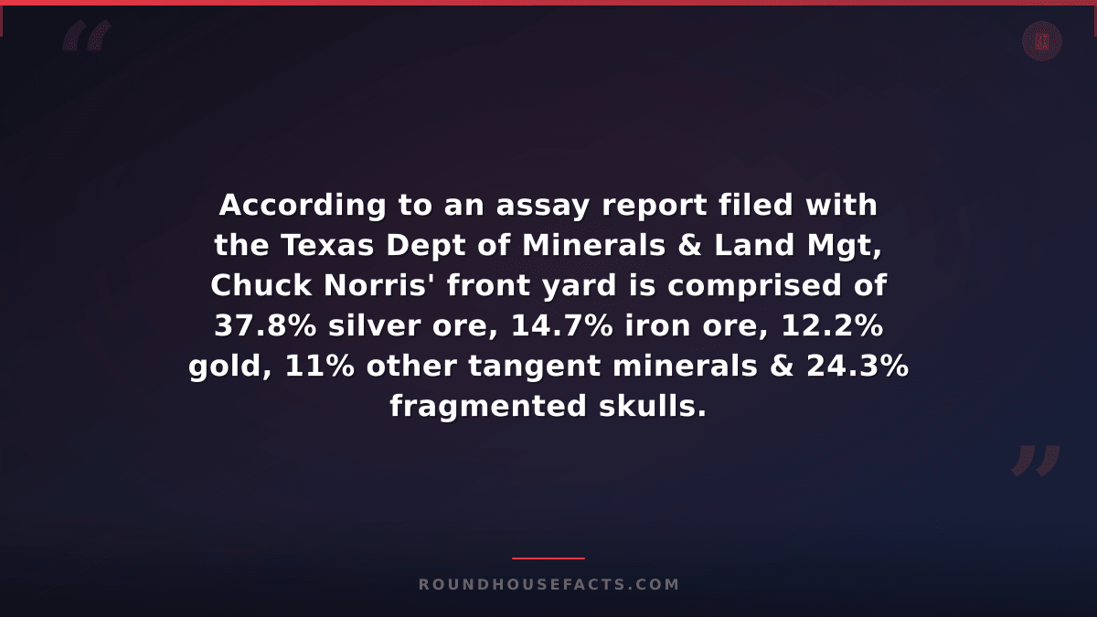 Chuck Norris Fact — According to an assay report filed with the Texas Dept of Mi