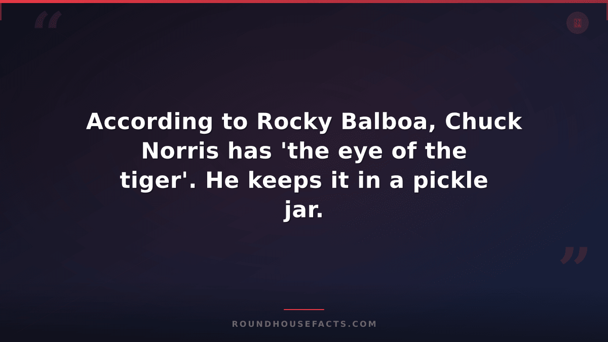 Chuck Norris Fact — According to Rocky Balboa, Chuck Norris has 'the eye of the
