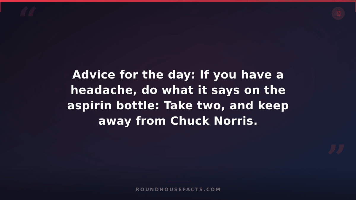 Chuck Norris Fact — Advice for the day: If you have a headache, do what it says