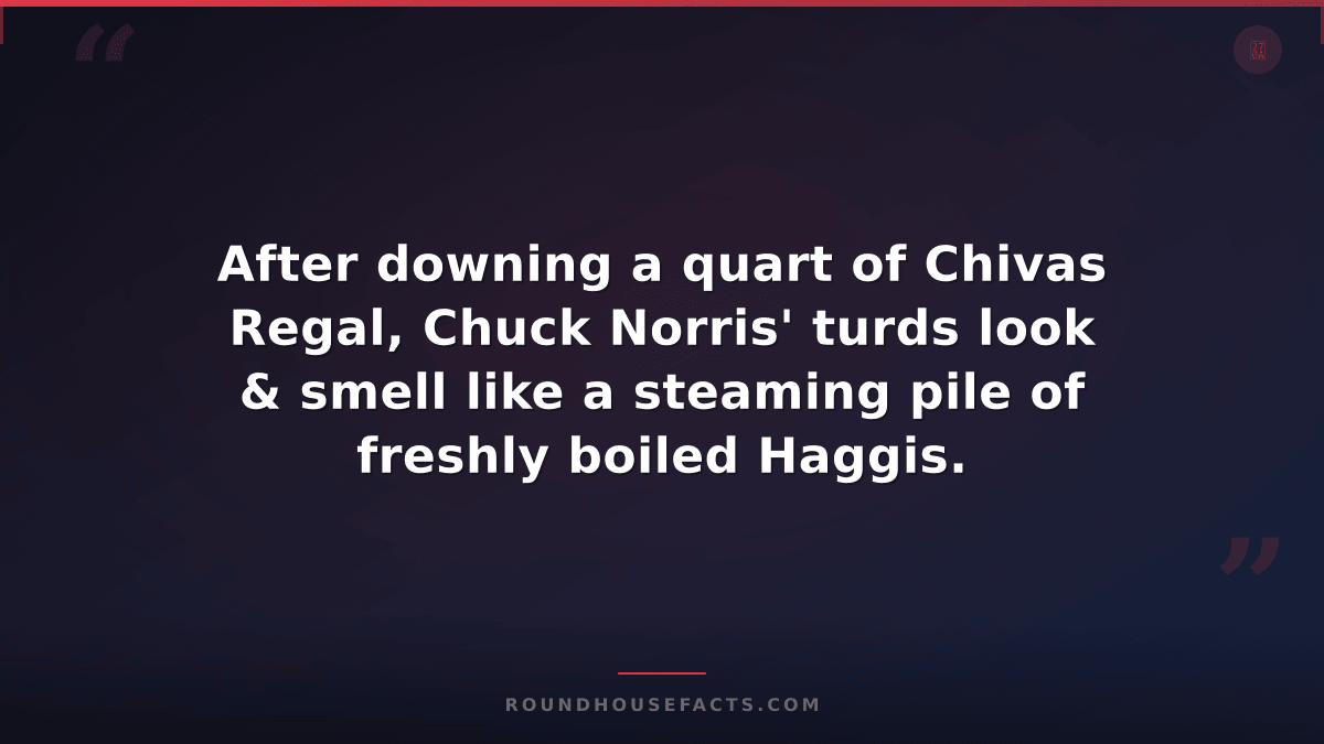 Chuck Norris Fact — After downing a quart of Chivas Regal, Chuck Norris' turds l