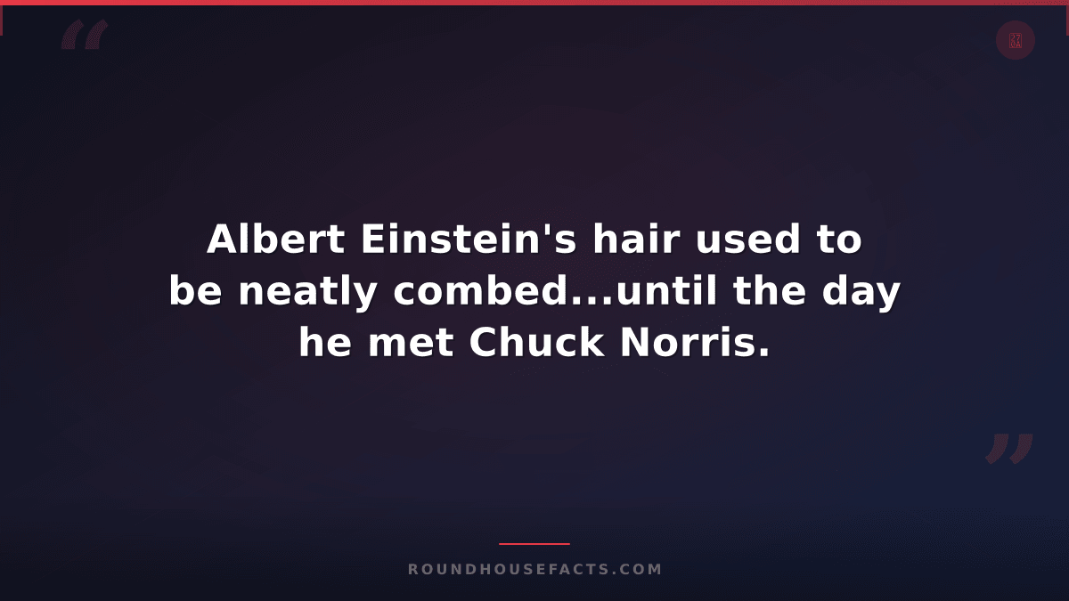 Chuck Norris Fact — Albert Einstein's hair used to be neatly combed...until the