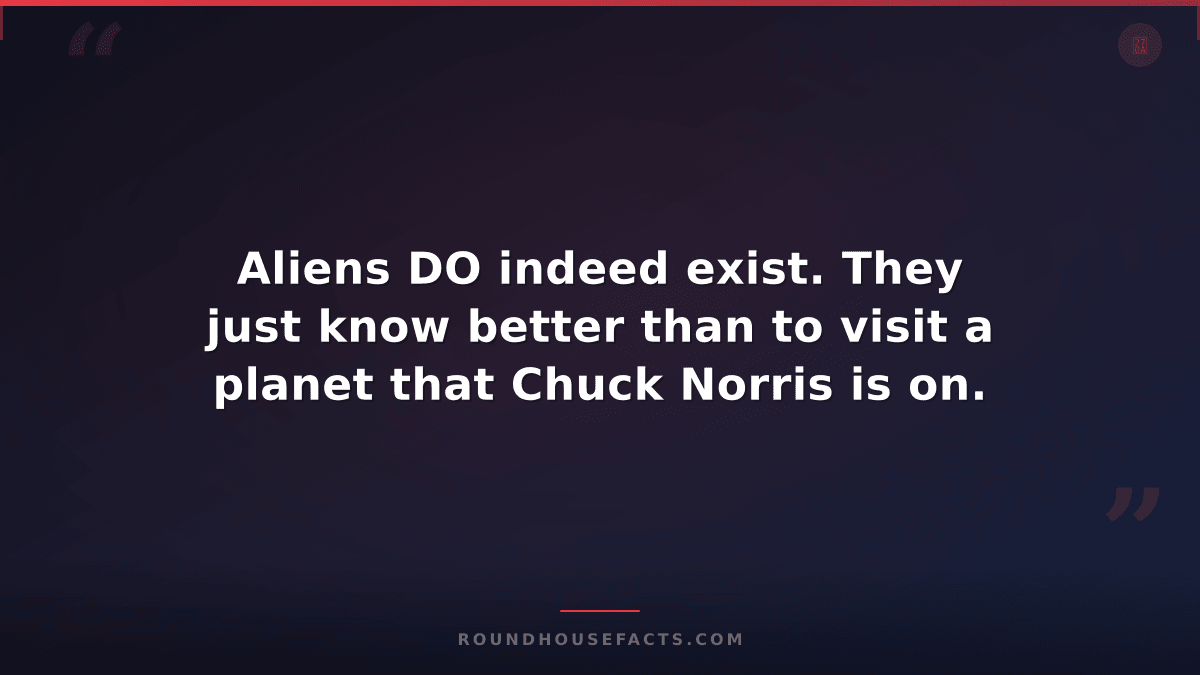 Chuck Norris Fact — Aliens DO indeed exist. They just know better than to visit
