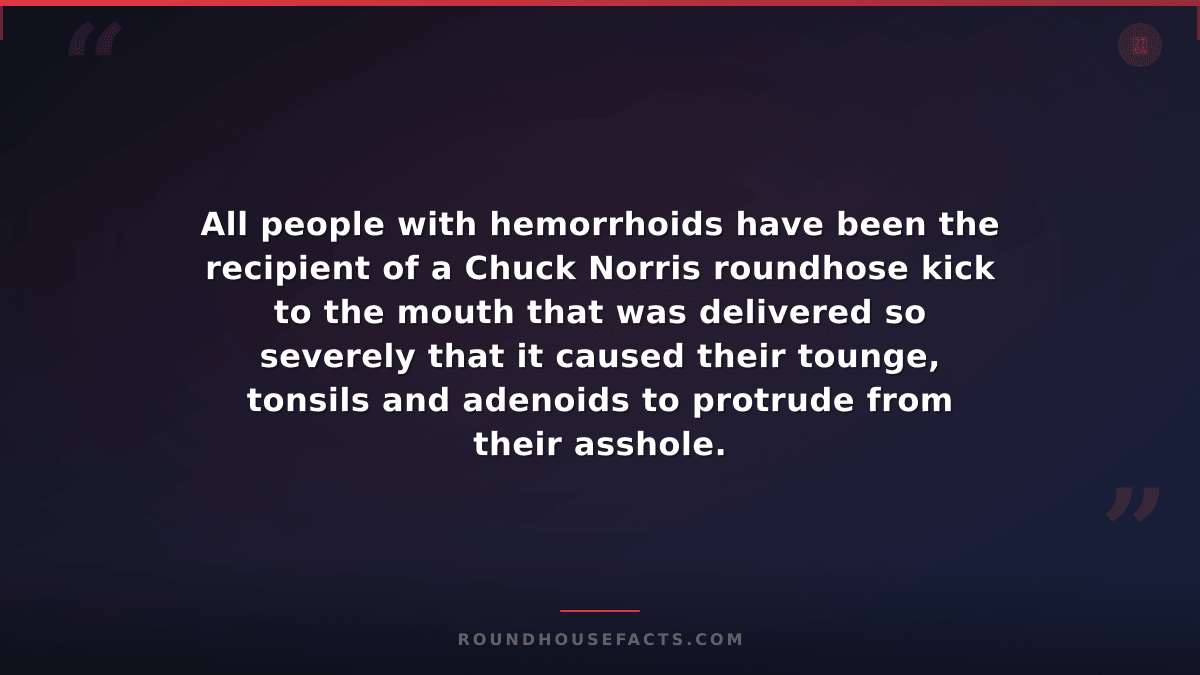 Chuck Norris Fact — All people with hemorrhoids have been the recipient of a Chu