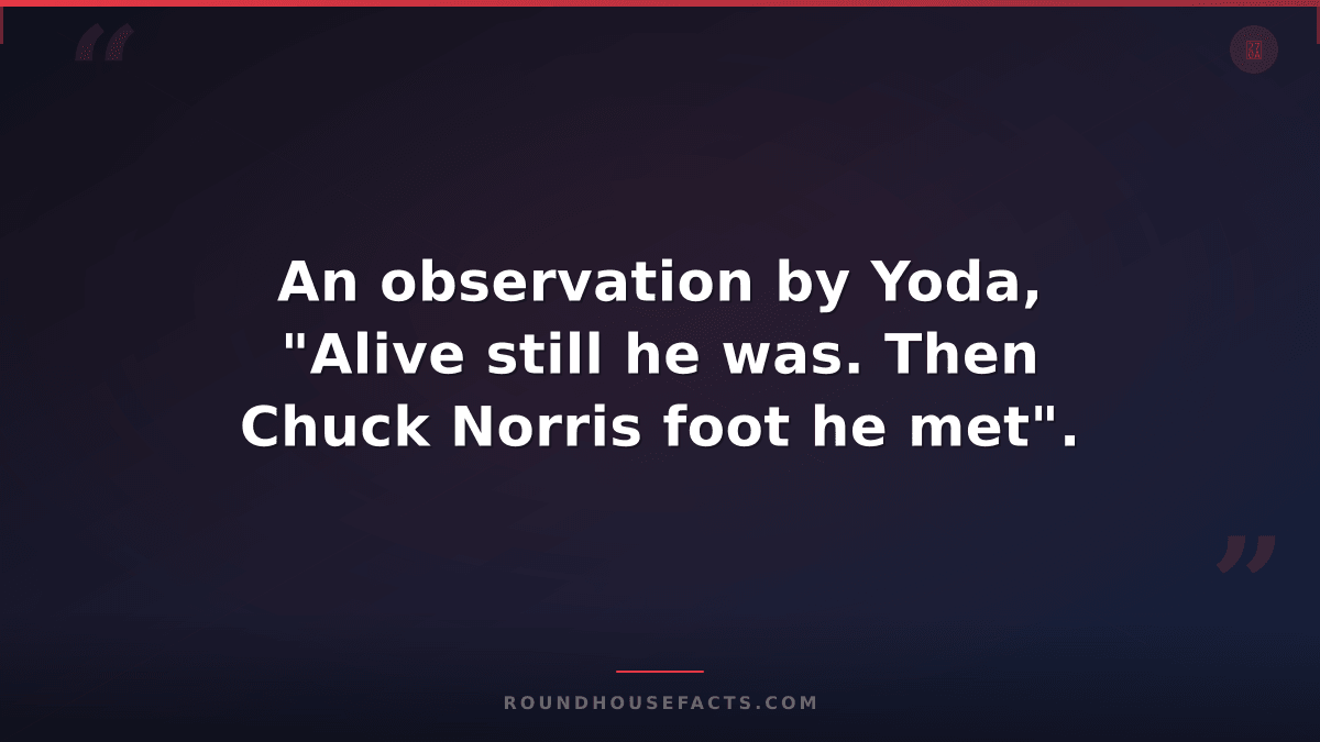Chuck Norris Fact — An observation by Yoda, "Alive still he was. Then Chuck Norr
