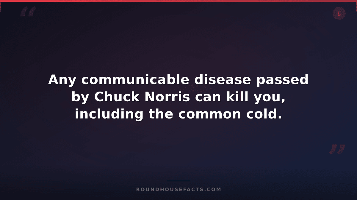 Chuck Norris Fact — Any communicable disease passed by Chuck Norris can kill you