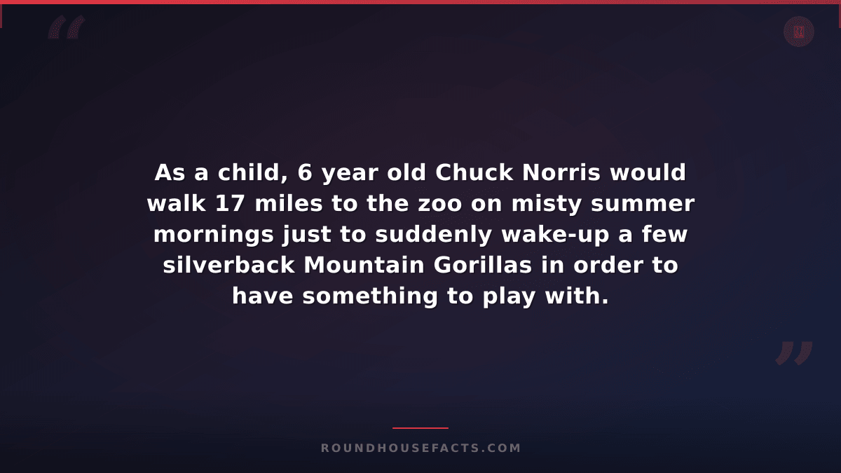 Chuck Norris Fact — As a child, 6 year old Chuck Norris would walk 17 miles to t