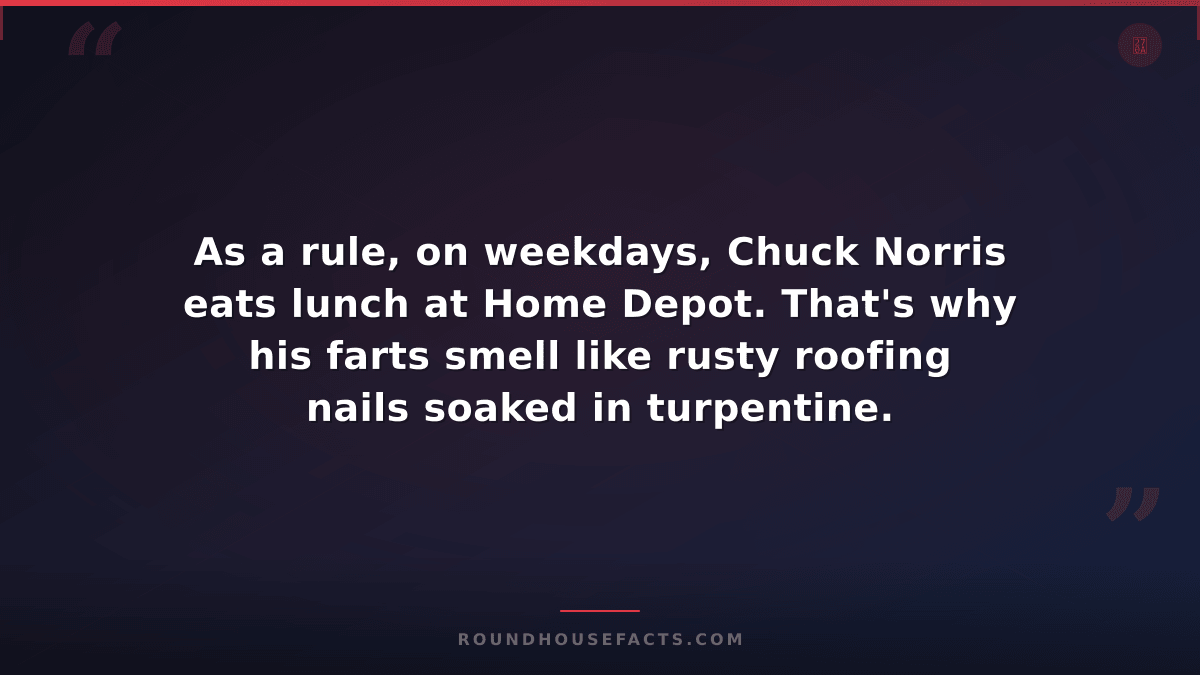 Chuck Norris Fact — As a rule, on weekdays, Chuck Norris eats lunch at Home Depo