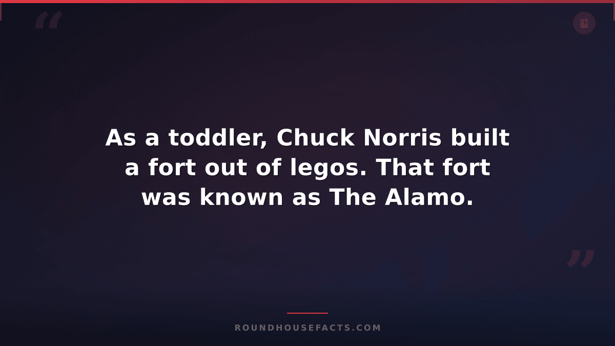 Chuck Norris Fact — As a toddler, Chuck Norris built a fort out of legos. That f