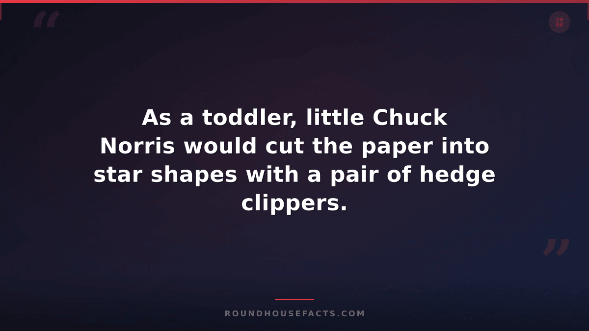 Chuck Norris Fact — As a toddler, little Chuck Norris would cut the paper into s