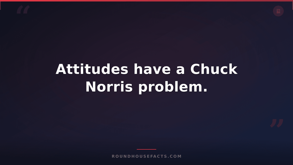 Chuck Norris Fact — Attitudes have a Chuck Norris problem.