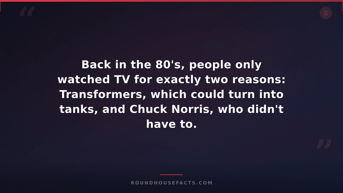 Chuck Norris Fact — Back in the 80's, people only watched TV for exactly two rea