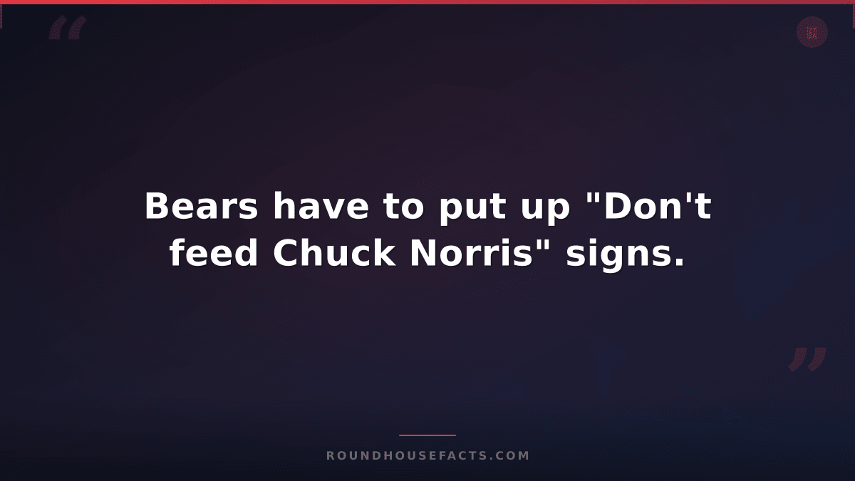 Chuck Norris Fact — Bears have to put up "Don't feed Chuck Norris" signs.