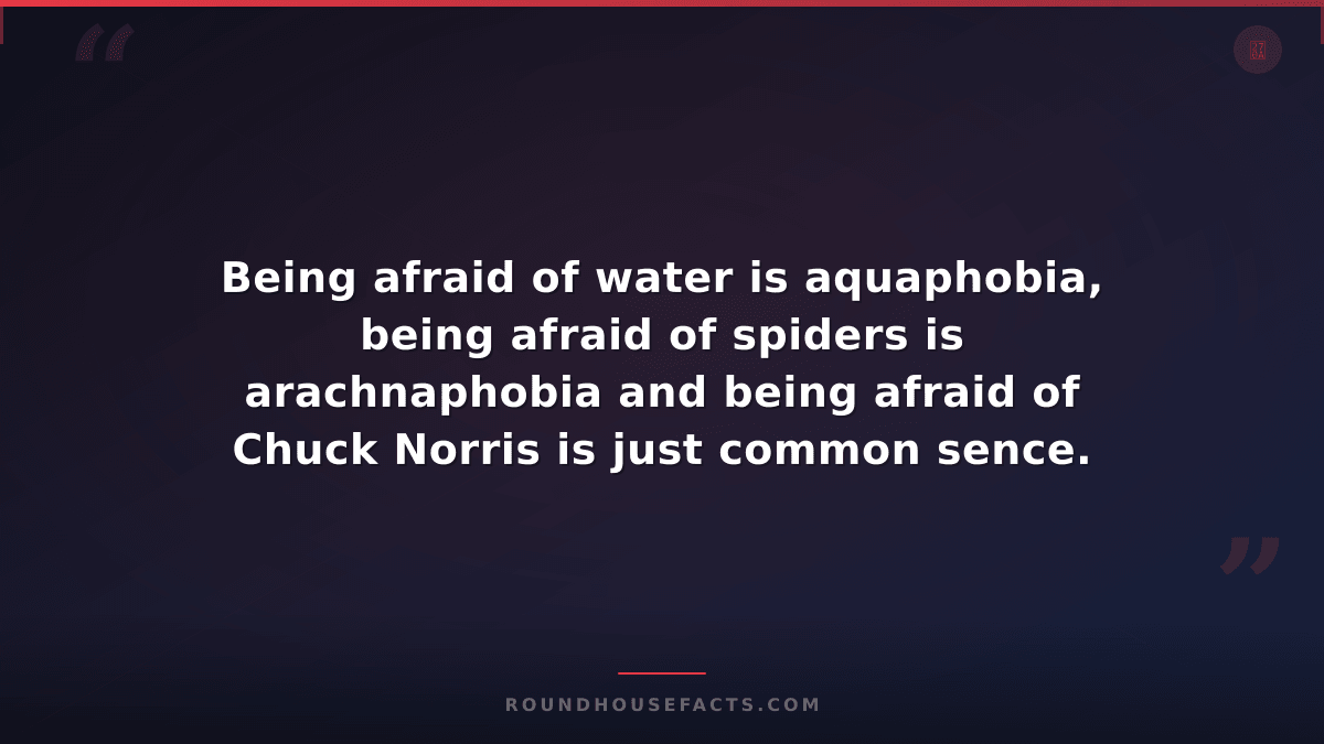 Chuck Norris Fact — Being afraid of water is aquaphobia, being afraid of spiders