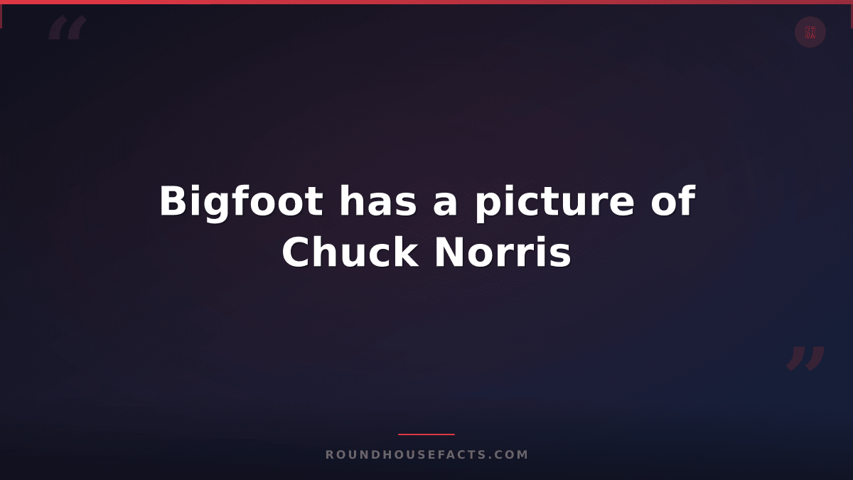 Chuck Norris Fact — Bigfoot has a picture of Chuck Norris
