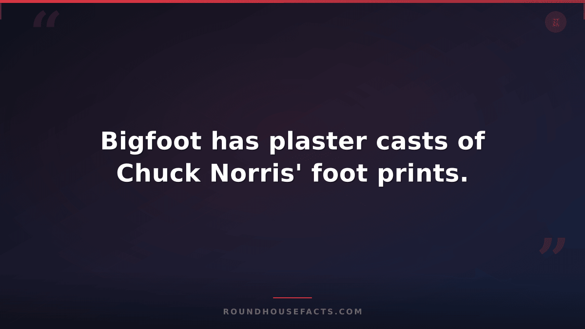 Chuck Norris Fact — Bigfoot has plaster casts of Chuck Norris' foot prints.