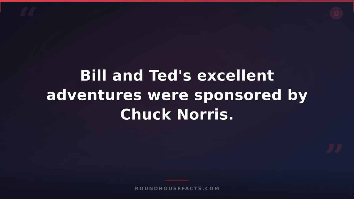 Chuck Norris Fact — Bill and Ted's excellent adventures were sponsored by Chuck