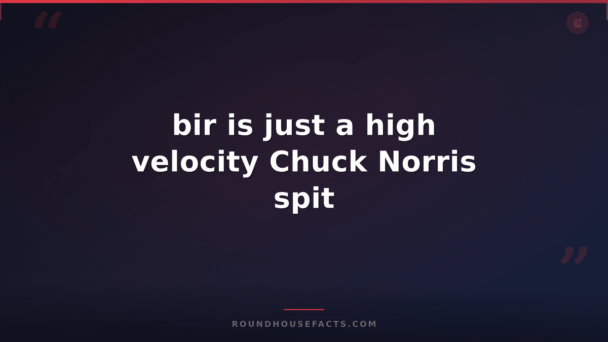Chuck Norris Fact — bir is just a high velocity Chuck Norris spit