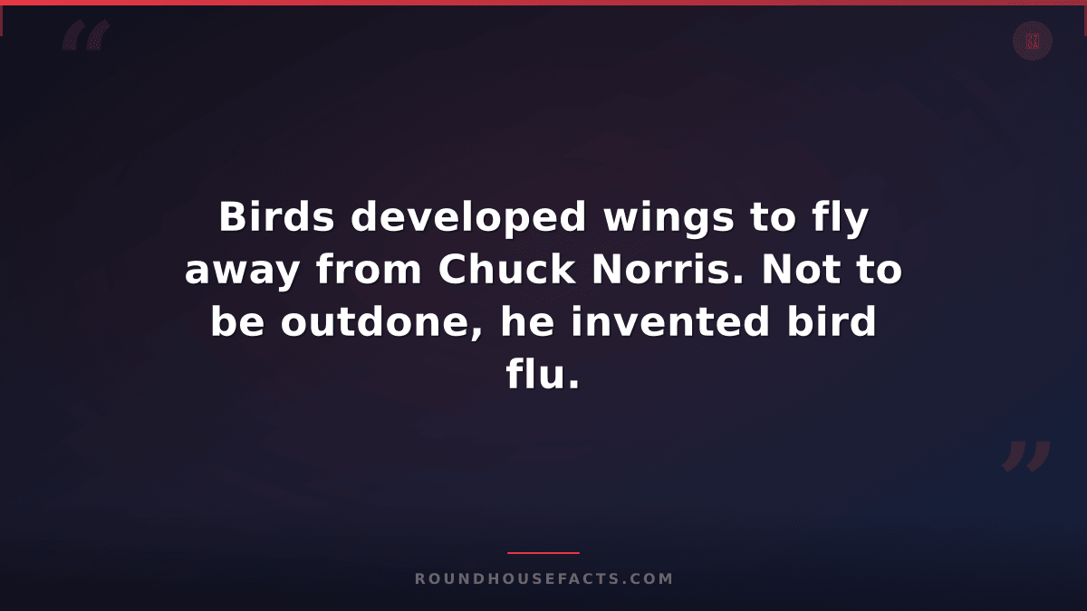 Chuck Norris Fact — Birds developed wings to fly away from Chuck Norris. Not to