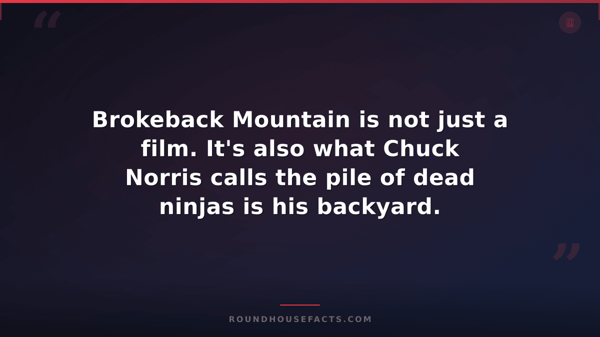 Chuck Norris Fact — Brokeback Mountain is not just a film. It's also what Chuck