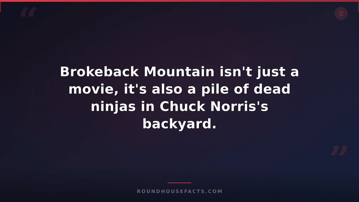 Chuck Norris Fact — Brokeback Mountain isn't just a movie, it's also a pile of d