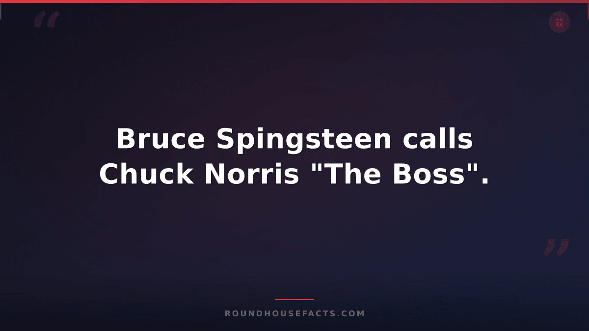 Chuck Norris Fact — Bruce Spingsteen calls Chuck Norris "The Boss".