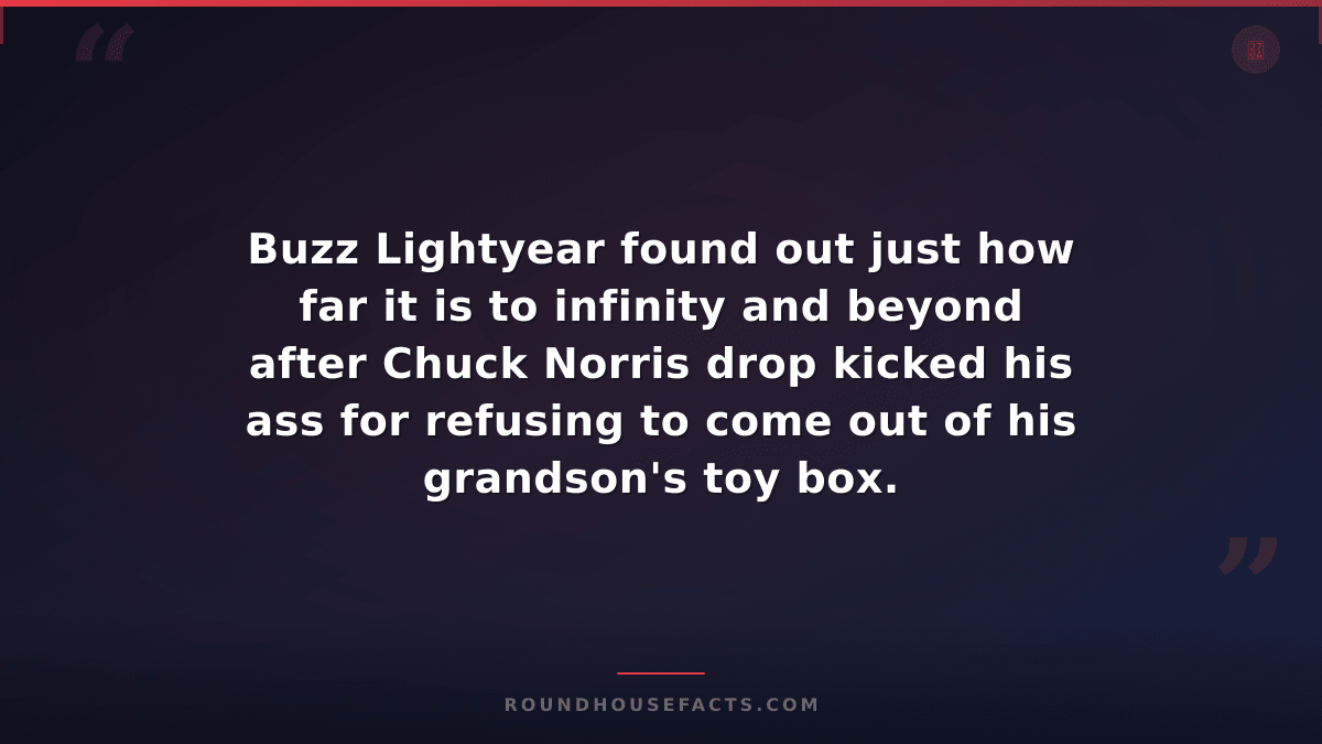 Chuck Norris Fact — Buzz Lightyear found out just how far it is to infinity and