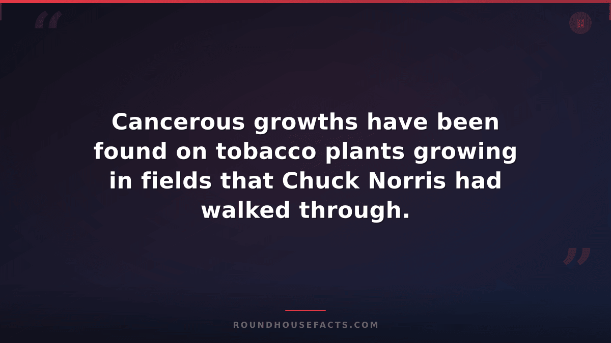 Chuck Norris Fact — Cancerous growths have been found on tobacco plants growing