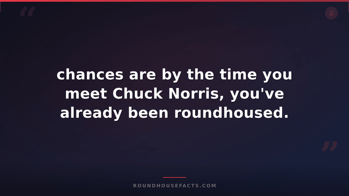 Chuck Norris Fact — chances are by the time you meet Chuck Norris, you've alread