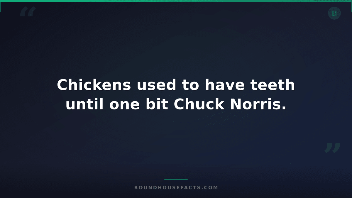 Chuck Norris Fact — Chickens used to have teeth until one bit Chuck Norris.