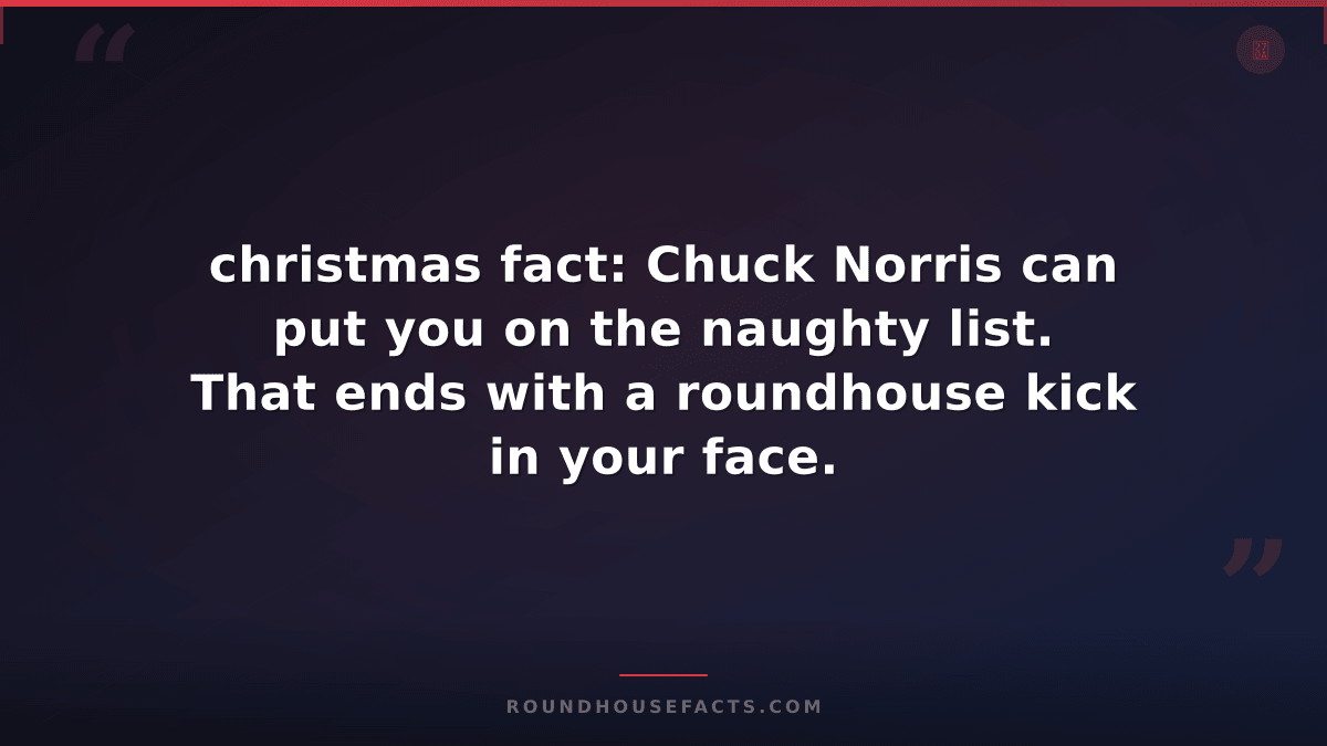 Chuck Norris Fact — christmas fact: Chuck Norris can put you on the naughty list