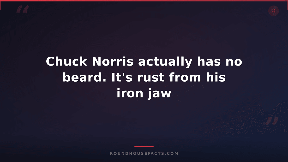 Chuck Norris Fact — Chuck Norris actually has no beard. It's rust from his iron
