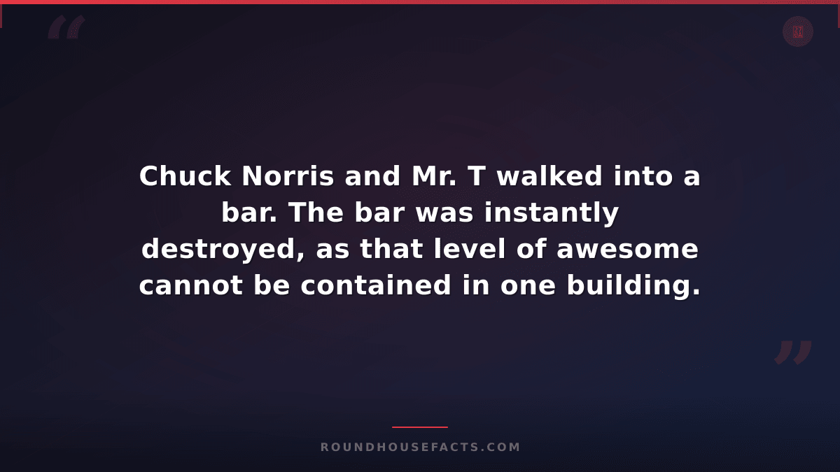 Chuck Norris Fact — Chuck Norris and Mr. T walked into a bar. The bar was instan
