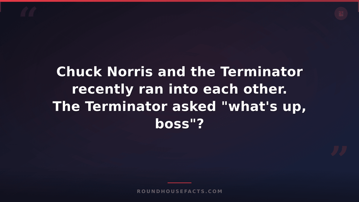 Chuck Norris Fact — Chuck Norris and the Terminator recently ran into each other