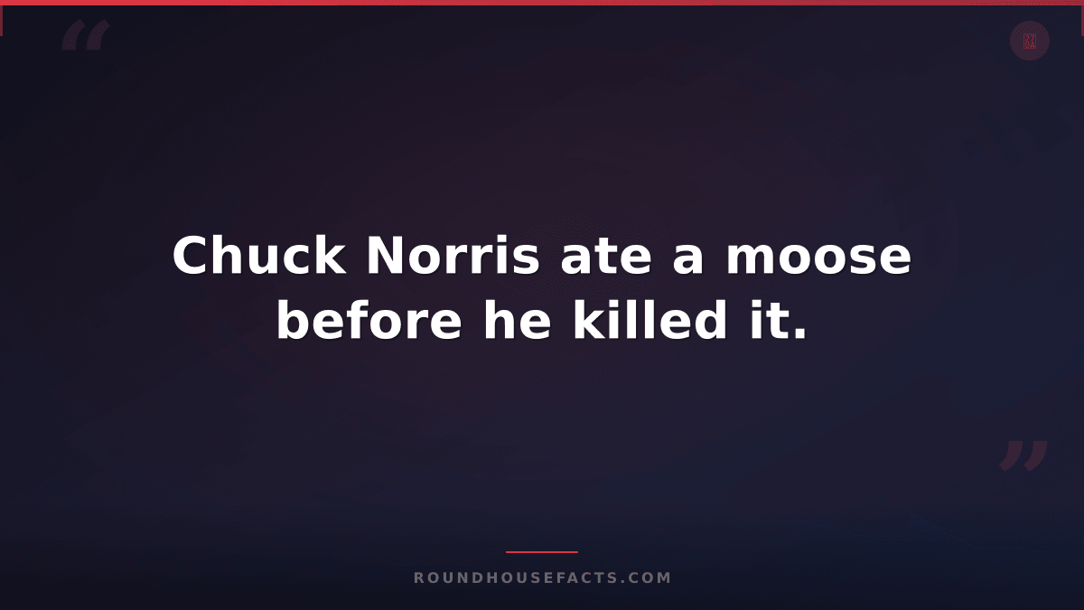Chuck Norris Fact — Chuck Norris ate a moose before he killed it.