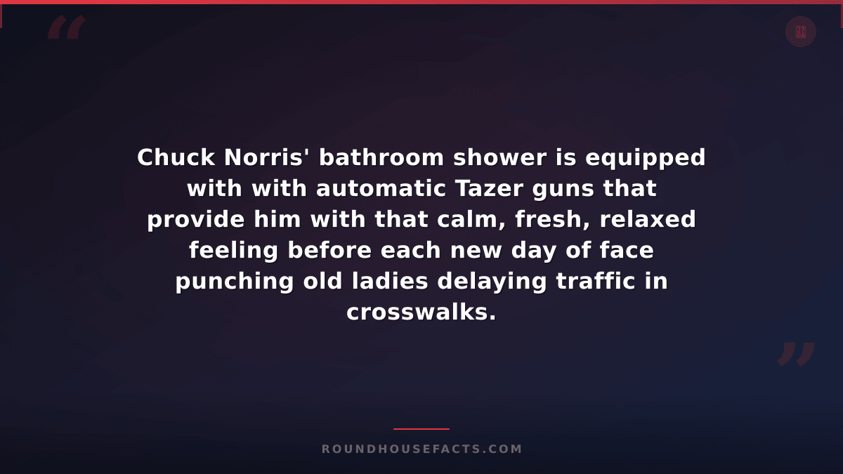 Chuck Norris Fact — Chuck Norris' bathroom shower is equipped with with automati