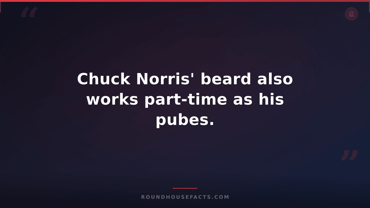 Chuck Norris Fact — Chuck Norris' beard also works part-time as his pubes.