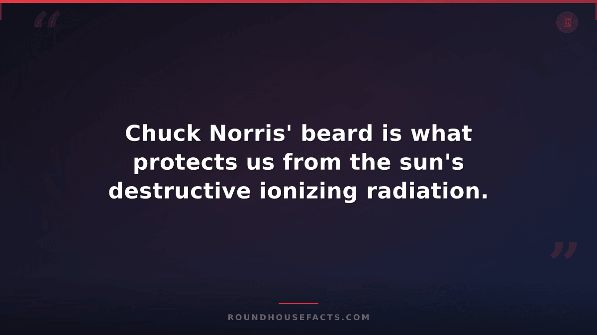 Chuck Norris Fact — Chuck Norris' beard is what protects us from the sun's destr
