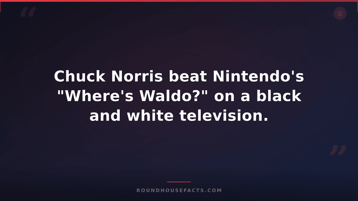 Chuck Norris Fact — Chuck Norris beat Nintendo's "Where's Waldo?" on a black and