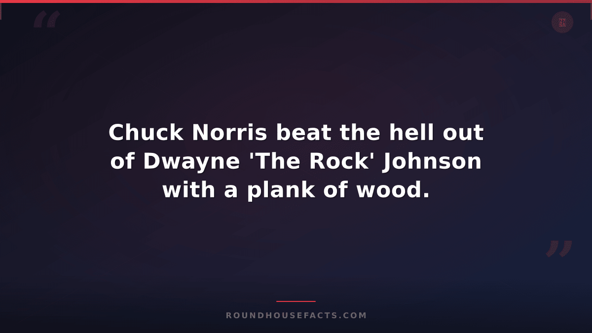 Chuck Norris Fact — Chuck Norris beat the hell out of Dwayne 'The Rock' Johnson